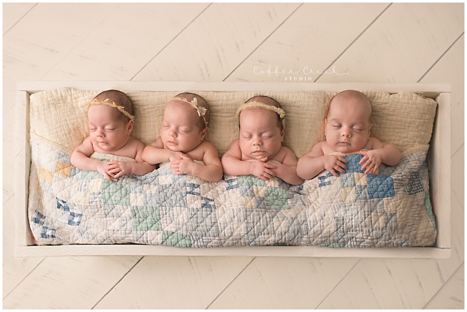 quadruplet newborn session