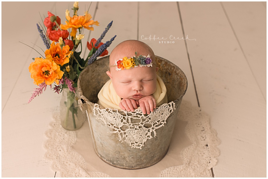 Baby Girl Photo Session