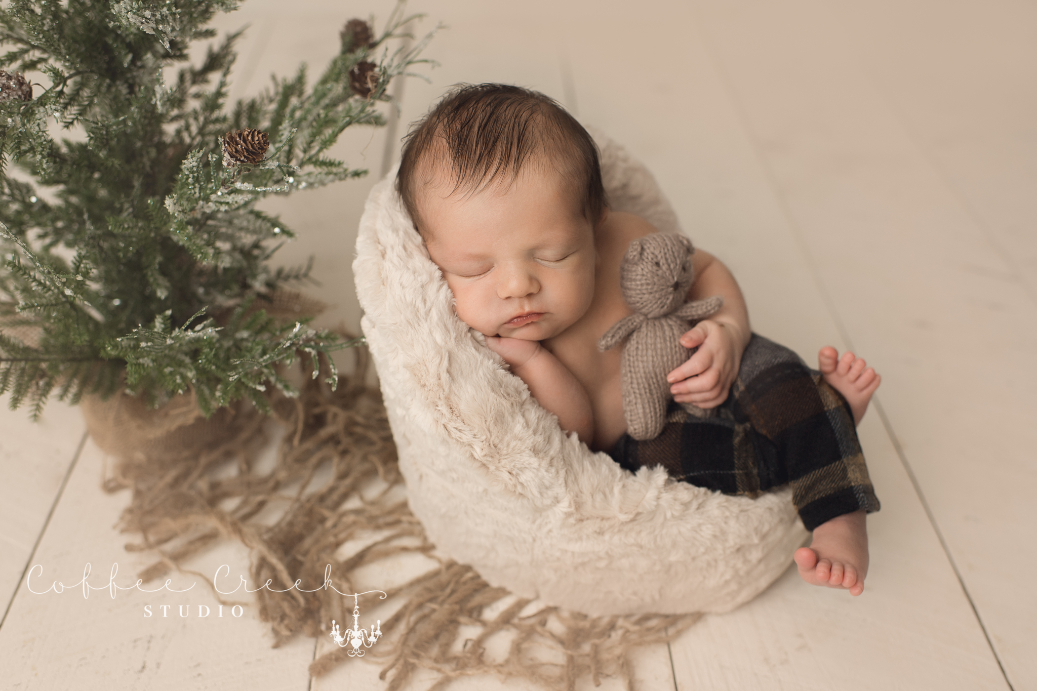 newborn baby boy on fuzzy chair with winter greenery