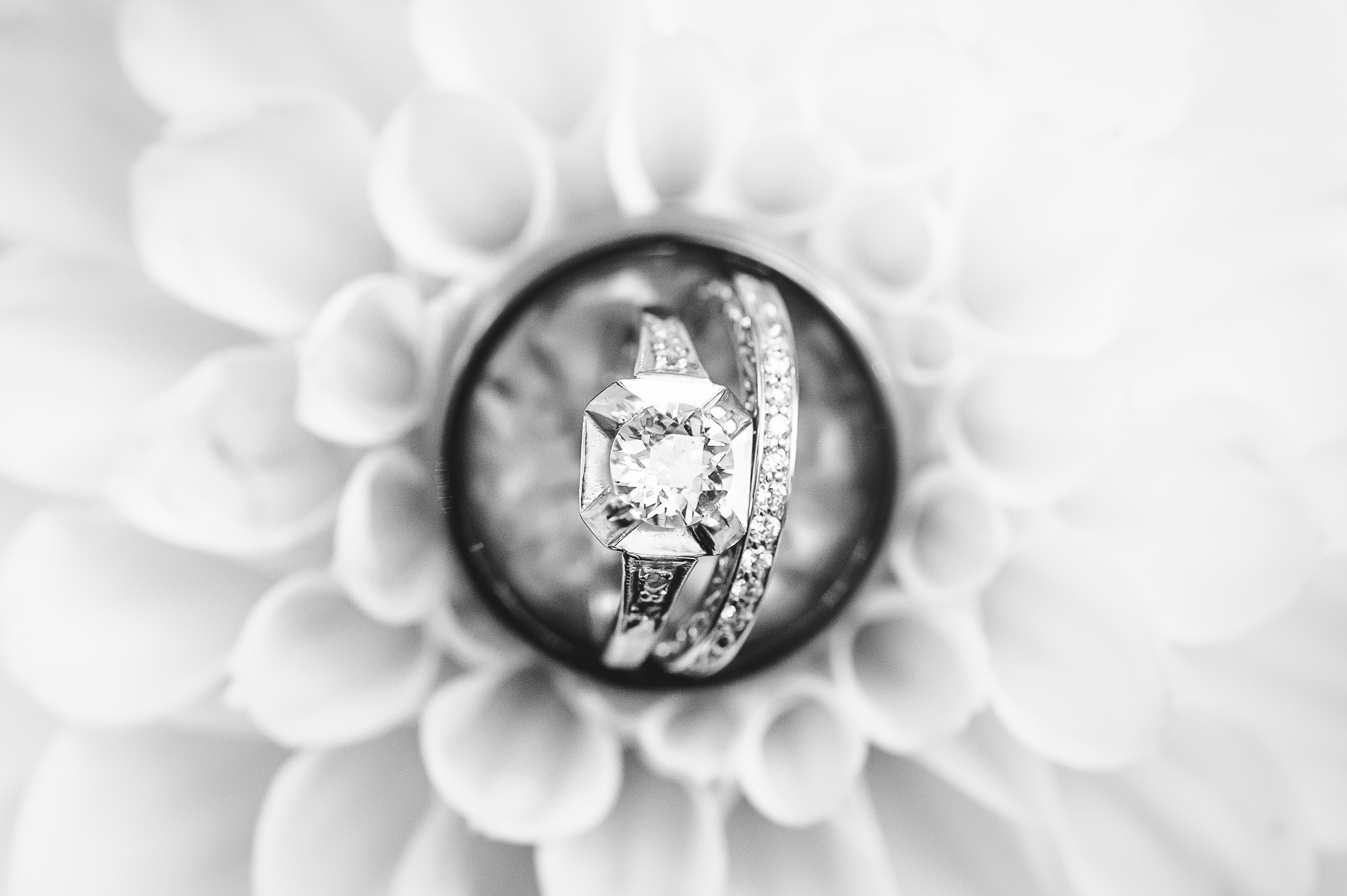 rings in a flower